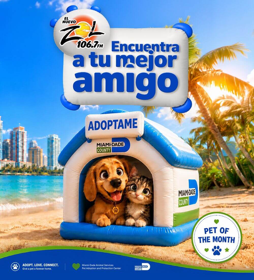 Encuentra a tu Mejor Amigo