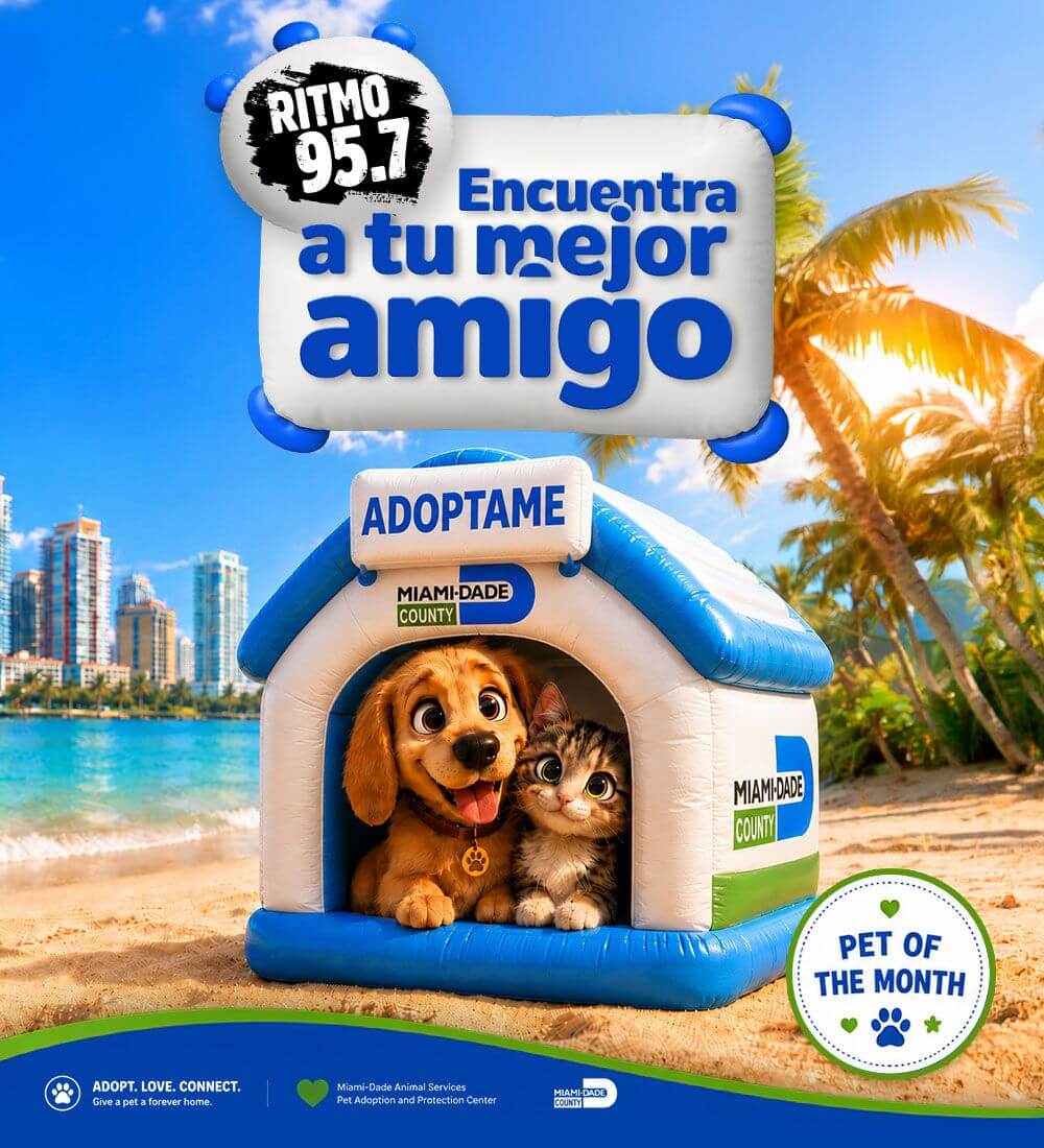 Encuentra a tu Mejor Amigo