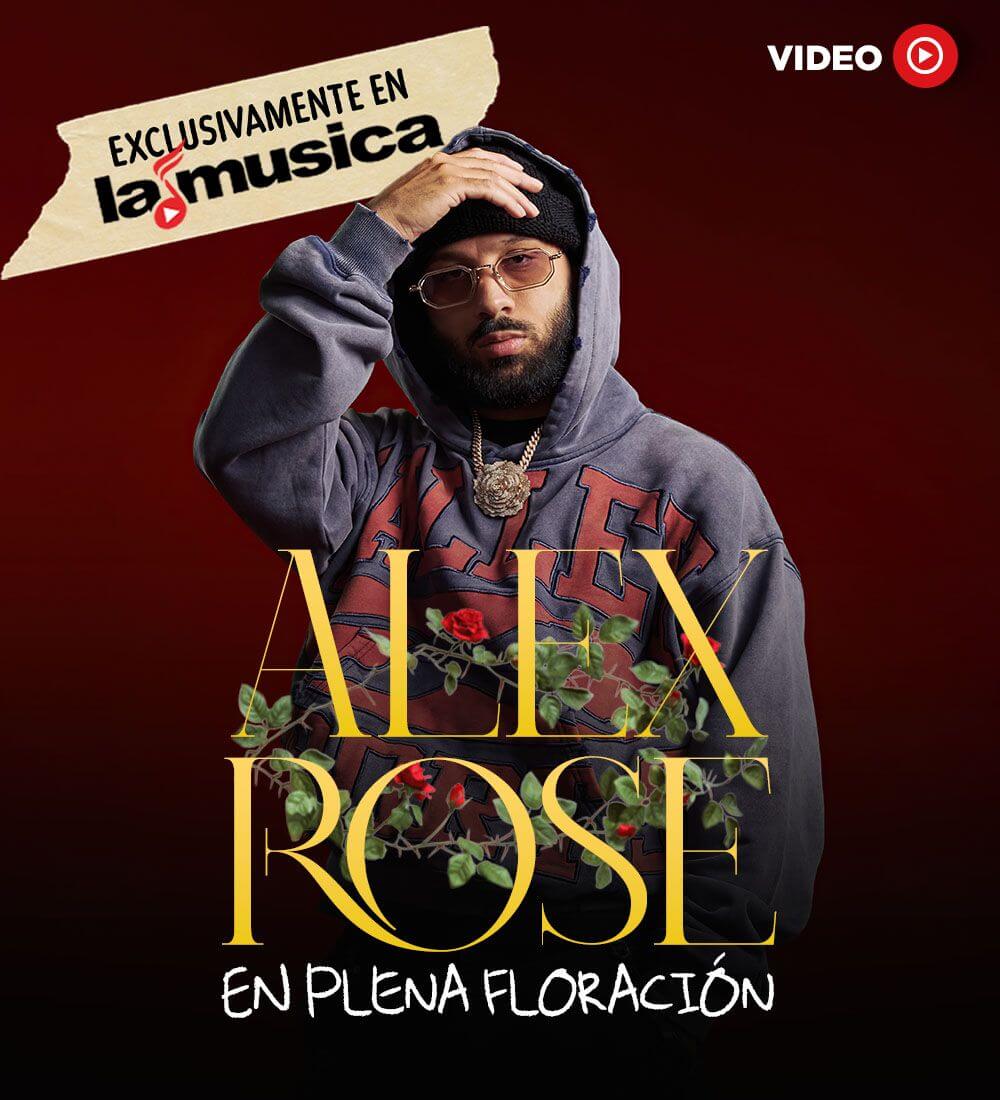 Alex Rose en plena floración